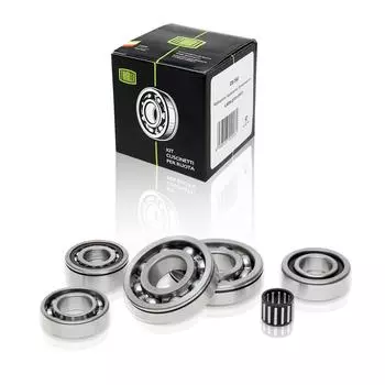 Ремкомплект КПП (5 ступенчатая) для автомобиля Лада 2107 (только подшипники) TRIALLI