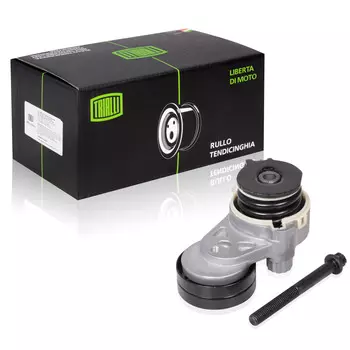 Ролик приводного ремня для автомобилей Chevrolet Cruze (09-) 1.6i/1.8i (с натяжным механизмом) (22x63) (CM 0507) TRIALLI