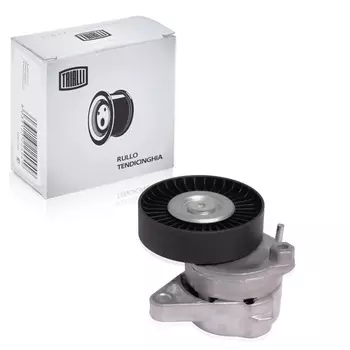 Ролик привод. ремня для автомобилей Mercedes C-Class (W202) (93-)/C-Class (W203) (00-) 2.4i/2.8i/3.2i/4.3i (с натяж. мех.) (CMS 1507) TRIALLI