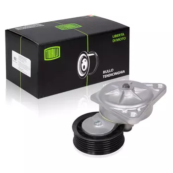 Ролик привод. ремня для автомобилей Ford Focus I (98-) 1.6i/1.8i/2.0i (с натяж. мех.) (CM 1007) TRIALLI