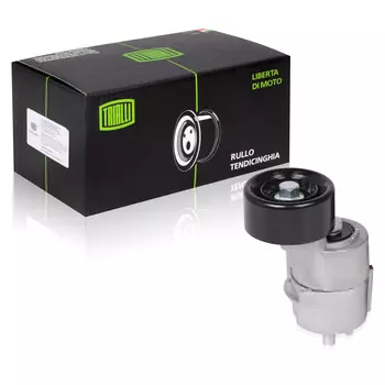 Ролик привод. ремня для автомобилей Hyundai ix35 (10-)/Kia Sportage (10-) 2.0i/2.4i [Theta II] (с натяж. мех.) (CM 0807) TRIALLI