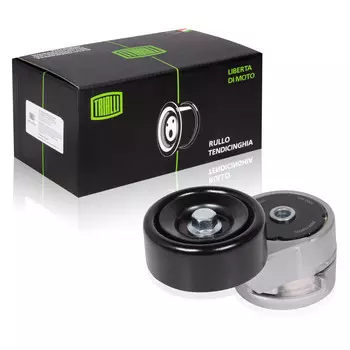 Ролик привод. ремня для автомобилей Hyundai Solaris (10-) 1.4i/1.6i (с натяж. мех.) (CM 0801) TRIALLI