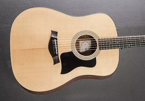 110Э Taylor 110E