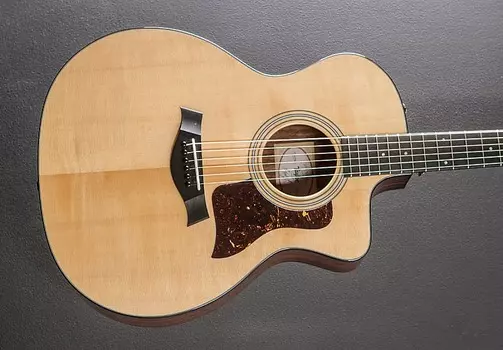 214СЕ Плюс Taylor 214CE Plus