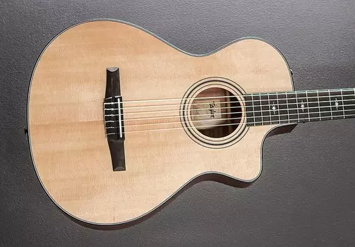 312СЕ-Н Taylor 312CE-N