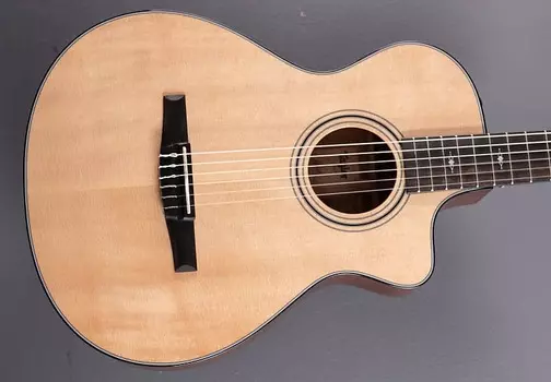 312СЕ-Н Taylor 312CE-N