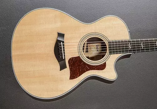 412CE палисандр Taylor