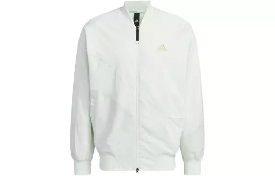 Adidas Мужская куртка, Синий