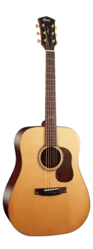 Акустическая гитара Cort Gold-D6