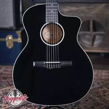Акустическая гитара Taylor 214ce-N BLK DLX Special Edition Nylon Grand Auditorium - Black with Hardshell Case