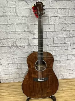 Акустическая гитара Taylor Custom GP