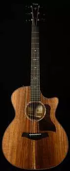 Акустическая гитара Taylor Guitars 724ce