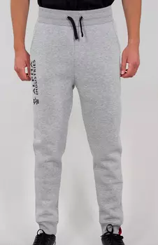 Штаны Alpha Industries Basic, серые