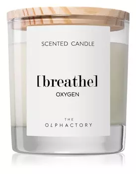 Ароматическая свеча Ambientair Olphactory Oxygen