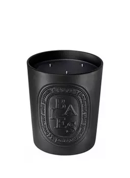 Ароматическая свеча Diptyque BAIES