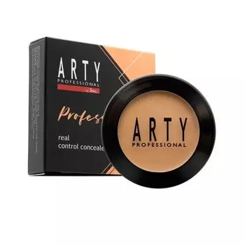 Arty Консилер Real Control 4г. С2