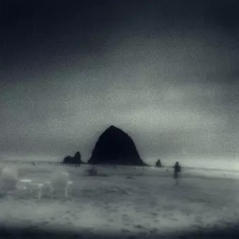 Аудиокассета Drowse: Wane Into It