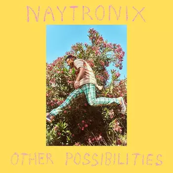 Аудиокассета Naytronix: Other Possibilities