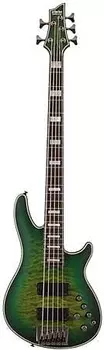 Басс гитара Schecter Daniel Firth Hellraiser Extreme 5 Bass Guitar Cthulu Burst