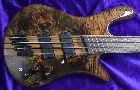 Басс гитара Spector NS Dimension 4-String, Faded Black Gloss Over Poplar Burl with Wenge Fingerboard