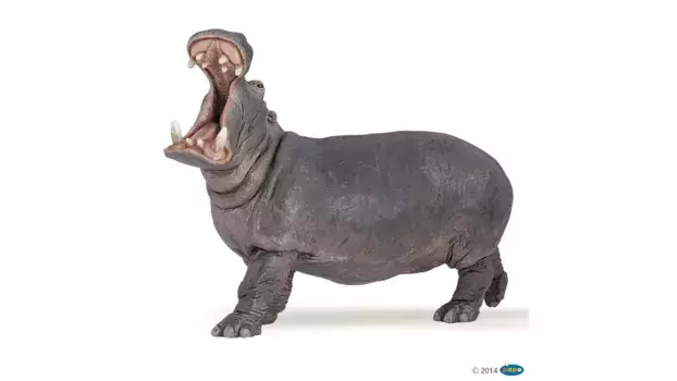 Бегемот