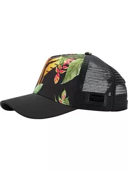 Бейсболка Carlo Colucci Cap Curtin, черный