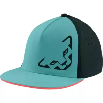 Бейсболка Dynafit Tech Trucker, синий