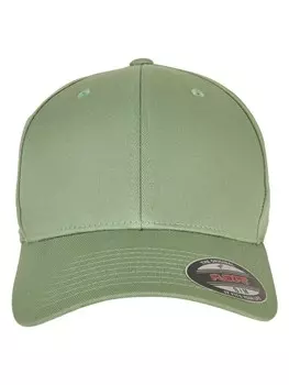 Бейсболка Flexfit Flexfit, цвет darkleafgreen