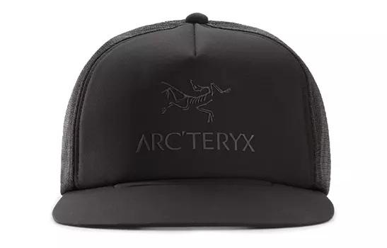 Бейсболка мужская Arcteryx