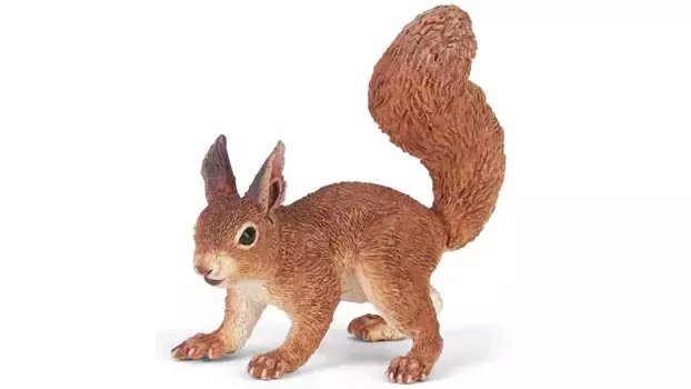 Белка Papo