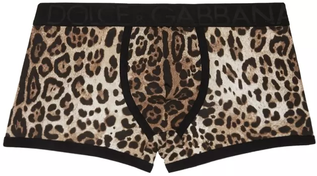 Бежевые боксеры с леопардовым принтом Dolce & Gabbana