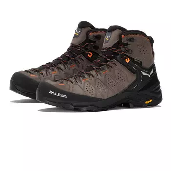 Ботинки Salewa Alp Trainer 2 GORE-TEX, коричневый