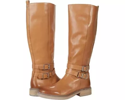 Ботинки Sam Edelman Freda, цвет Cashew