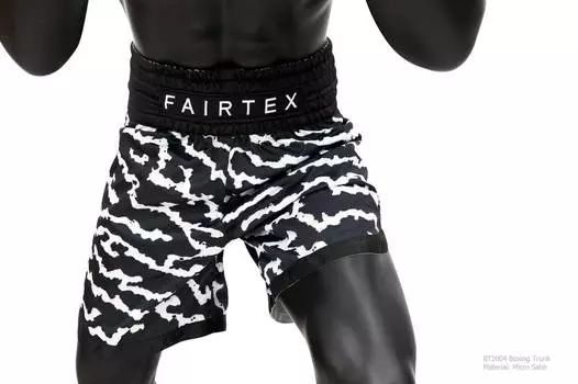 Боксерские шорты Fairtex BT2004 Crack