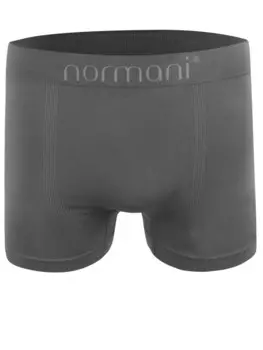 Боксеры Normani, серый