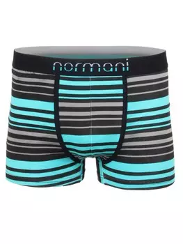 Боксеры Normani, синий/бирюзовый