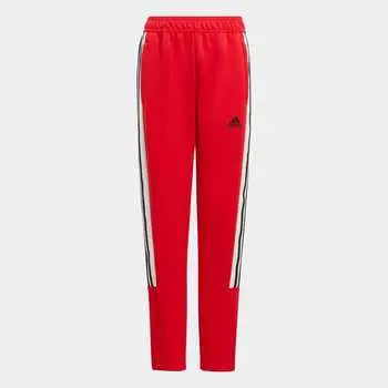 Брюки Adidas HY4211, серый