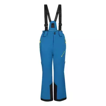 Брюки Alpine Pro Werado, синий
