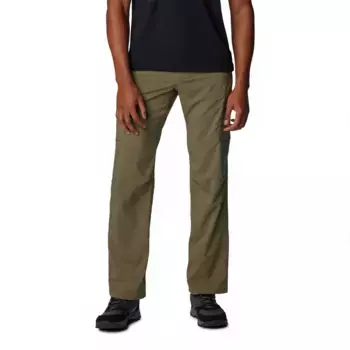 Брюки Columbia Silver Ridge Utility, зеленый