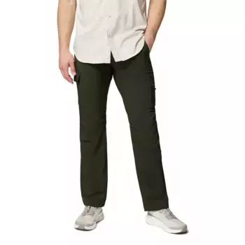 Брюки Columbia Silver Ridge Utility, зеленый