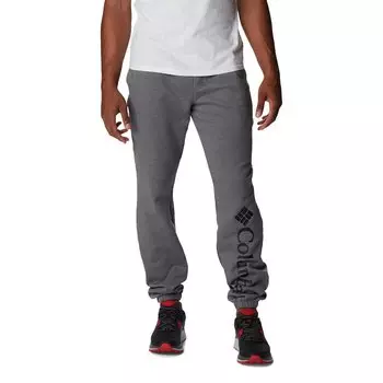 Брюки Columbia Trek Jogger, серый