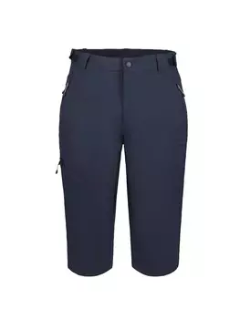 Брюки для тренировок и бега Icepeak Ballard Hose, темно-синий
