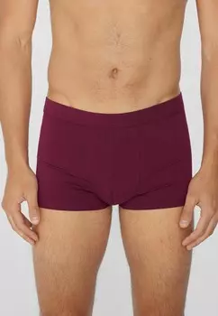 Брюки ELASTISCHER Tezenis, Бордо