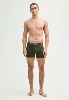 Брюки IM DREIERPACK MIT WEBBUND TOM TAILOR, зеленый
