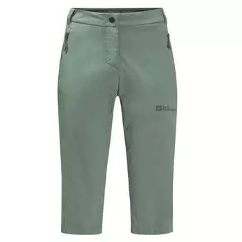 Брюки Jack Wolfskin, цвет Dolphin