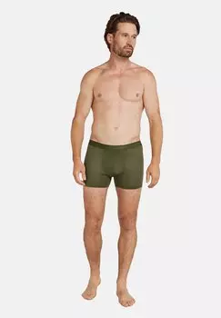 Брюки MERINO 125 LIGHT WEIGHT COOL-LITE ANATOMICA icebreaker, хаки