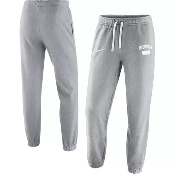 Брюки Nike Michigan Wolverines, серый