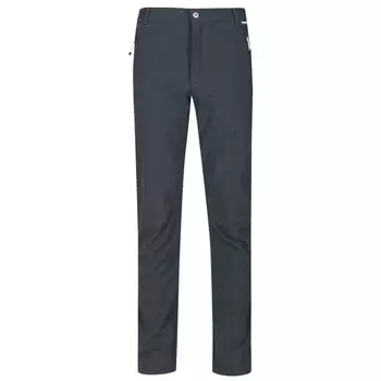 Брюки Regatta Geo Softshell II, серый