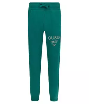 Брюки Regular fit Guess, зеленый