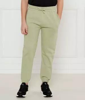 Брюки Regular fit Guess, зеленый